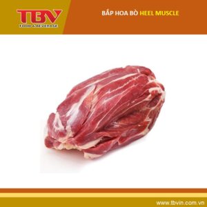 Bắp hoa bò – HEEL MUSCLE